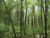 IMG_1332.JPG