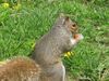 IMG_0578.jpg