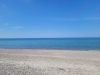 Filename=20230513_153216.jpg
Filesize=407KiB
Dimensions=2048x1536
Date added=Feb 12, 2024 20230513_153216.jpg
