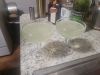 Filename=20230620_220358.jpg
Filesize=386KiB
Dimensions=2048x1536
Date added=Feb 05, 2024 20230620_220358.jpg