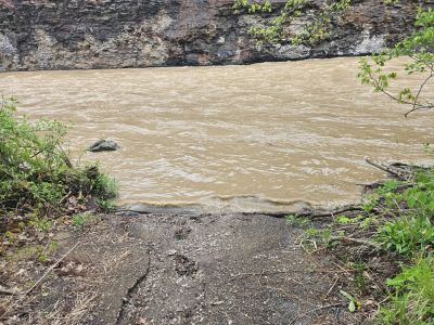 Mill Hollow, Vermillion, OH -  Ma 6th, 2025
Keywords: parks, hollow, Ohio
