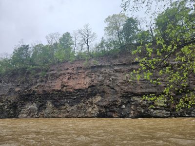 Mill Hollow, Vermillion, OH -  Ma 6th, 2025
Keywords: parks, hollow, Ohio