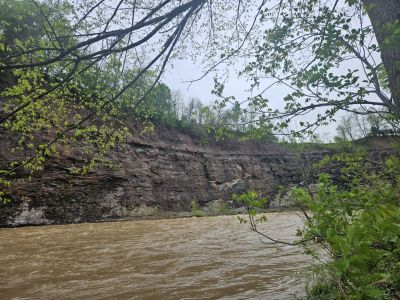 Mill Hollow, Vermillion, OH -  Ma 6th, 2025
Keywords: parks, hollow, Ohio