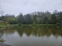 Filename=20250506_131237.jpg
Filesize=455KiB
Dimensions=2048x1536
Date added=Jun 25, 2025 20250506_131237.jpg