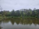 Filename=20250506_131239.jpg
Filesize=414KiB
Dimensions=2048x1536
Date added=Jun 25, 2025 20250506_131239.jpg