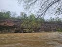 Filename=20250506_132924.jpg
Filesize=778KiB
Dimensions=2048x1536
Date added=Jun 25, 2025 20250506_132924.jpg