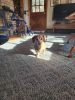 Filename=20221124_132804.jpg
Filesize=619KiB
Dimensions=1536x2048
Date added=Feb 16, 2024 20221124_132804.jpg