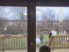 Filename=20221124_164947.jpg
Filesize=364KiB
Dimensions=2048x1536
Date added=Feb 16, 2024 20221124_164947.jpg