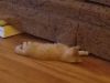 20181020_181417.jpg