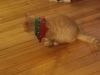 20181210_081112.jpg