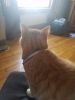Filename=20190308_090614.jpg
Filesize=253KiB
Dimensions=1536x2048
Date added=Jun 30, 2019 20190308_090614.jpg