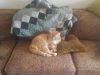 Filename=20190429_141141.jpg
Filesize=473KiB
Dimensions=2048x1536
Date added=Jun 30, 2019 20190429_141141.jpg