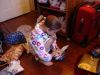 DSC01816_2.jpg