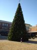 DSC01829_2.jpg