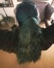 IMG_20181215_064653_291.jpg