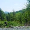 IMG_20190523_045006_274.jpg