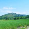 IMG_20190523_045006_303.jpg