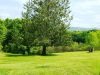 IMG_20190527_161824_230.jpg