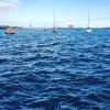 IMG_20190917_163239_860.jpg