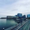 IMG_20191020_163215_258.jpg