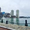 IMG_20191020_163215_263.jpg