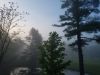 20180523_061437.jpg