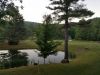 20180704_051940.jpg