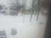 Filename=20190120_101331.jpg
Filesize=251KiB
Dimensions=2048x1536
Date added=Jun 30, 2019 20190120_101331.jpg