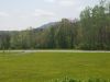 20190519_130105.jpg