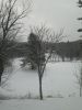 IMG_20190228_063511.jpg