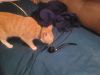 Filename=20230713_213732.jpg
Filesize=277KiB
Dimensions=2048x1536
Date added=Nov 06, 2023 20230713_213732.jpg