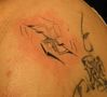 halftatt.jpg