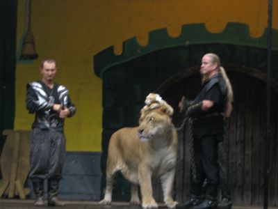 Liger
With a little liger on his head.
