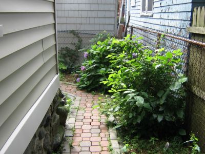 Back of the Garden
Some bushes and shrubs mostly.
Lynn MA apartment 2006-2008
