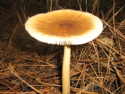 IMG_2230.JPG